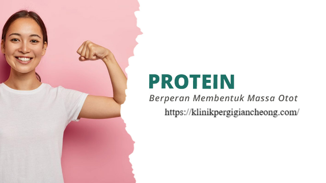 Rahasia Nutrisi Otot: Peran Vital Protein dalam Pembentukan
