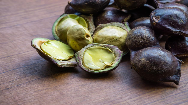 18 Manfaat Jengkol untuk Kesehatan Tubuh