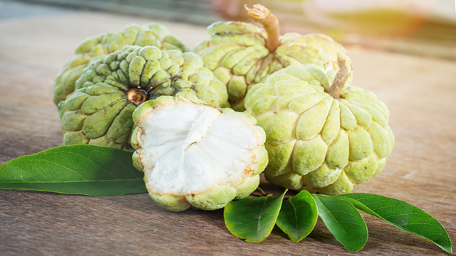 6 Manfaat Buah Srikaya untuk Kesehatan